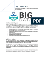 Empresa Big Data SAC