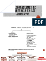 Microorganismos de Importancia en Los Alimentos FINAL