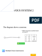 Nervous System 2