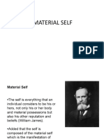 Material Self