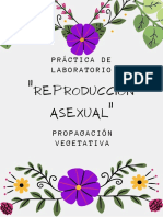 Reproducción Asexual