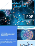 Neuroplasticidad Aplicada Al Oido