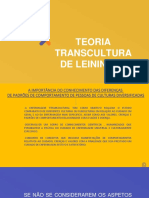 Teoria Transcultural