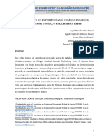 RELATO DE EXPERIÊNCIA - 9 e 3 Anos