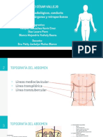 Abdomen Cortes Radiológicos, Conducto Crural, Peritoneo, Órganos y Retroperitoneo