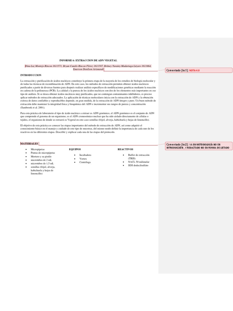 Info 6. C3 | PDF