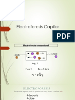 Electroforesis Capilar - Clase