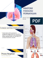 Sistem Pernafasan