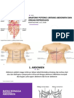 Anatomi Potong Lintang Abdomen Dan Organ Reproduksi