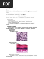 Histologia