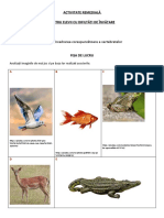 Activitate Remediala Animale Vertebrate