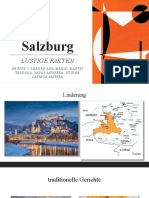 Salzburg Proiect 1