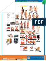 Katalog Anatomi BMG