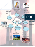 Mapa Conceptual de La Contaminacion