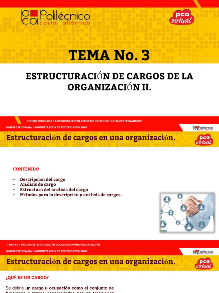 Estructuración de Cargos en Una Organización II VL Descargar gratis