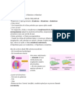 Formación de las capas germinales y derivados embrionarios en 3 semanas