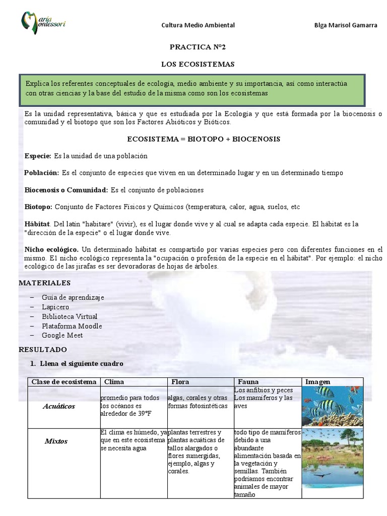 PRACTICA 2 Tarea | PDF | Ecosistema | Ecología