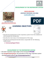 Development of The Respiratory System (G) - REVISED