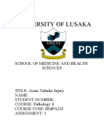 Acute Tubular Injury Pathogenesis