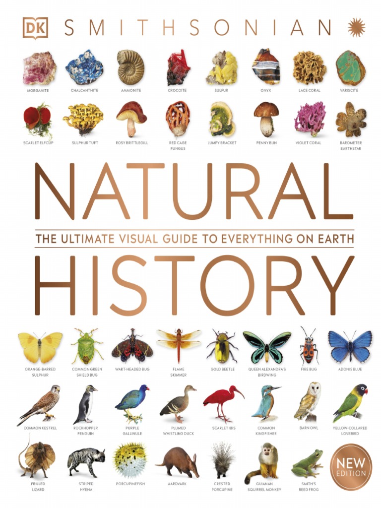 Natural History PDF Reptile Biology
