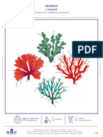 Https WWW - Dmc.com Media DMC Com Patterns PDF PAT0999 Seashells and Corals - Seaweed PAT0999