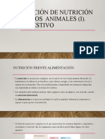 Nutrición en Los Animales (I). Digestion