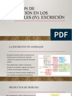 Nutrición en Los Animales (IV) - Excrecion