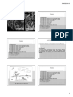 Tema 2-Clasificacion Masas Forestales