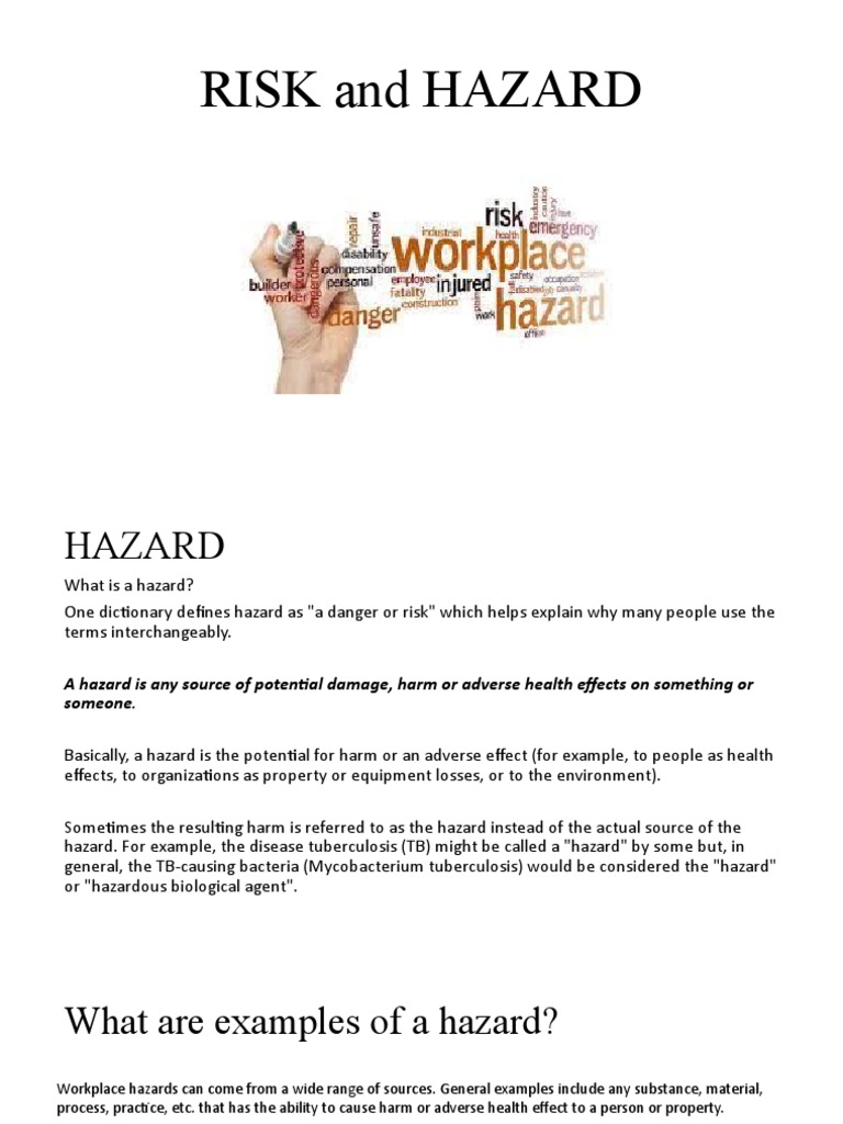 Risk And Hazard Pdf Risk Risk Assessment