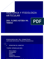 anatomiayfisiologiaarticular-gralidadesinflamacion-100816210342-phpapp02