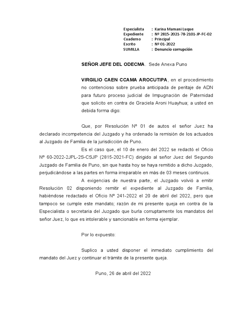Prueba Anticipada Ccama | PDF | Demanda judicial | Justicia
