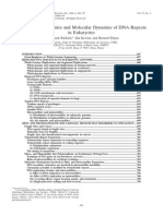 Comparative Genomics and Molecular Dynamics of DNA Repeats in Eukaryotes