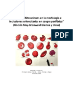 Infografía Alteraciones Morfológicas e Inclusiones Eritrocitarias - v4 08 - 2022 - Rev Final
