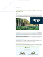 Reflorestamento: casos de sucesso e benefícios