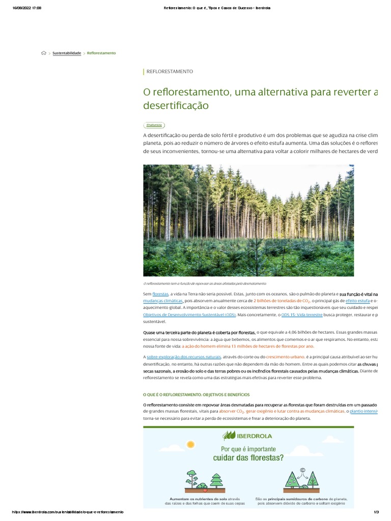 Reflorestamento: Importância e Tipos | PDF | Aquecimento global e ...