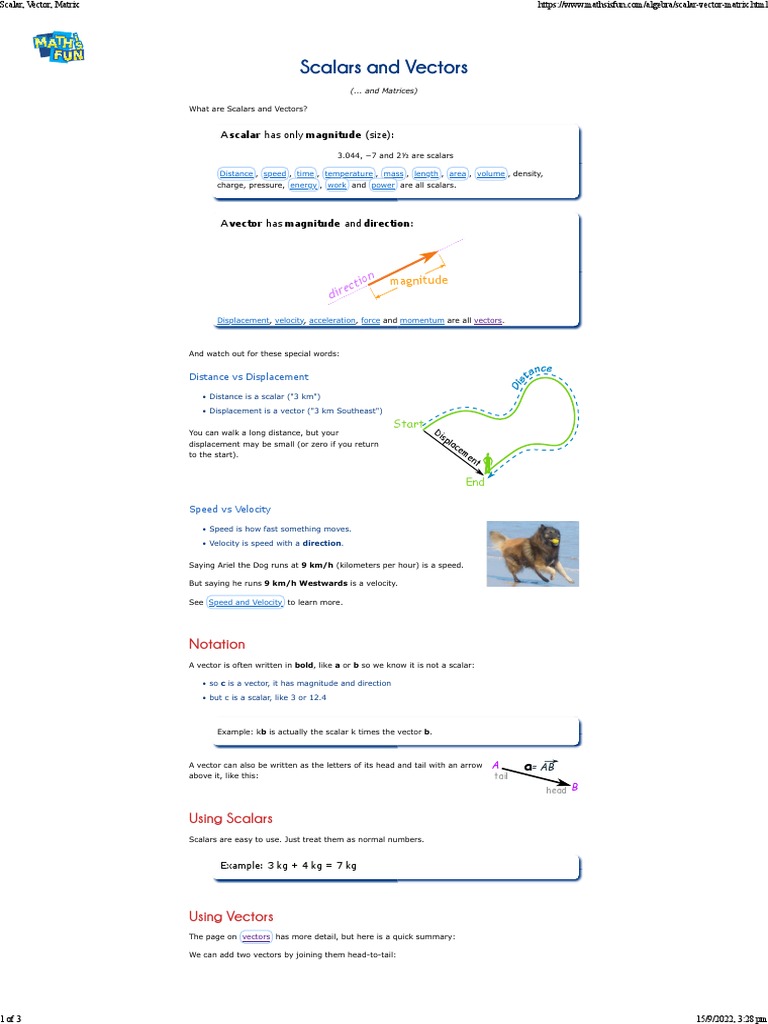 Scalar, Vector, Matrix | PDF | Euclidean Vector | Matrix (Mathematics)
