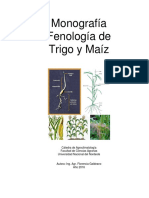 Material Maiz Ytrigo-Ing Galdeano