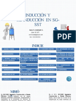 Induccion Reinduccion