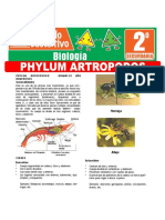 Phylum-Artropodos-para-Segundo-Grado-de-Secundaria