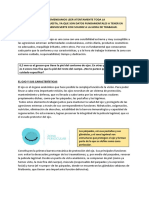 El Ojo Apunte PDF