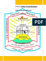 Informe de Practica Profecional 2021