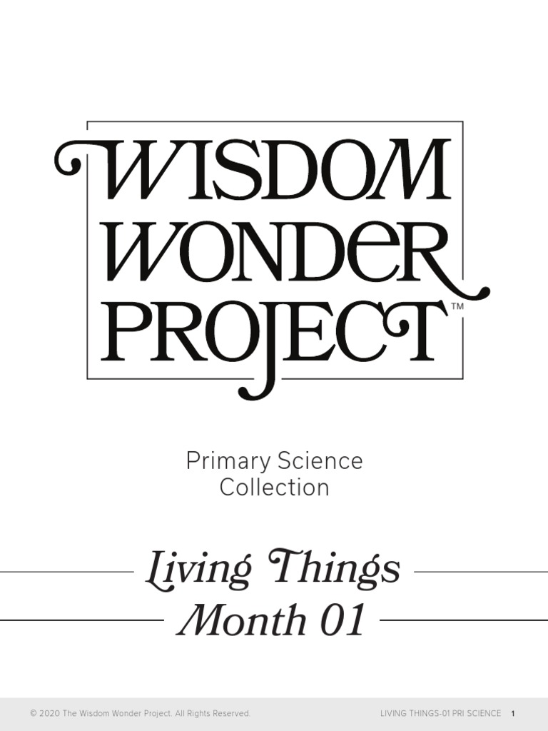 Primary Science 01 PDF Canopy (Biology) Rainforest