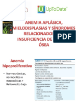 Anemias mieloplásicas: causas, diagnóstico y tratamiento