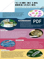 Infografía de Proceso Rompecabezas Sencillo Colorido