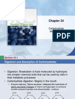 Carbohydrate Metabolism + Analysis of Carbohydrates