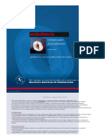 Endodoncia PDF - Translator - 1658927535392