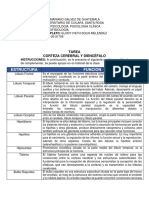 Corteza Cerebral y Diencefalo UMG 2022