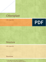 Chloroplast