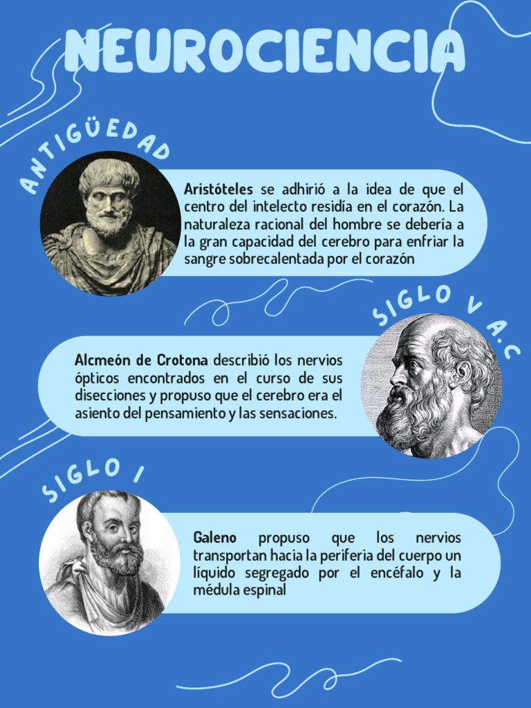 Historia de la Neurociencia y Pensamiento | PDF | Cerebro | Corteza ...