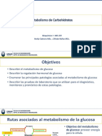 I-Clase - Metabolismo de CHOS-HC